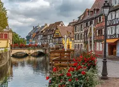 法国乒乓球队横扫波兰乒乓球队，王皓爆发神勇