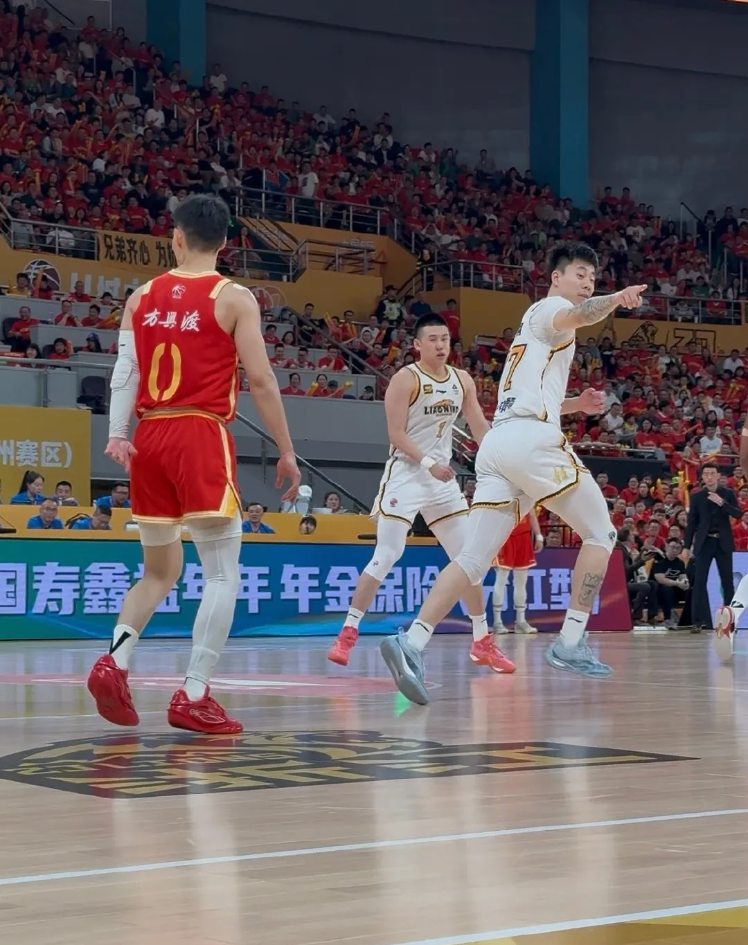 猛龙力克太阳，胡金秋关键制胜