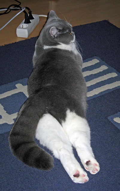 爱游戏下载-灰熊爪下天津，孙铭徽独舞奏凯歌