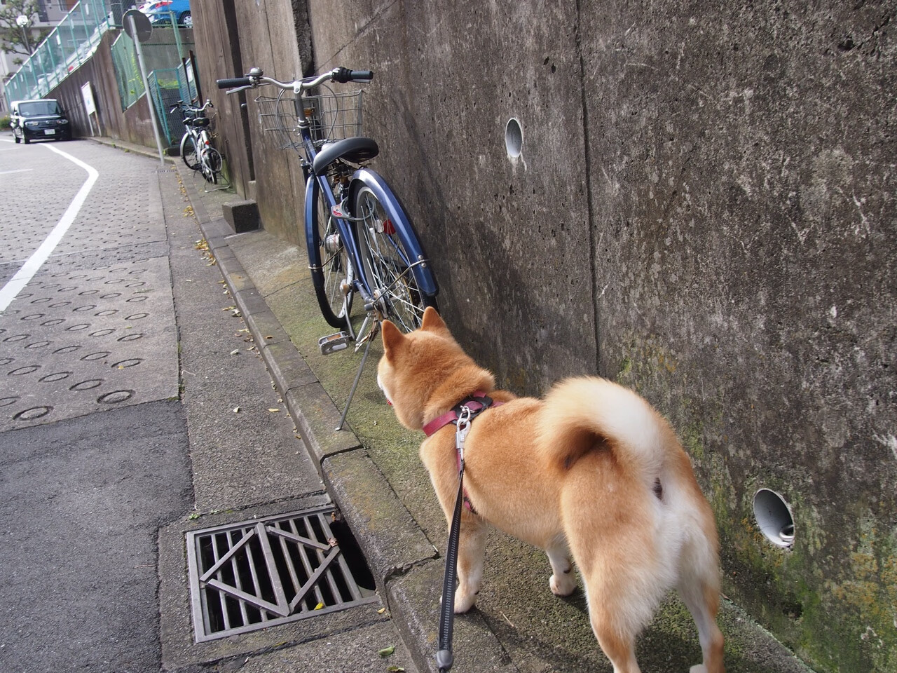 跨洋对决，孙铭徽关键三分助勇士力克热火