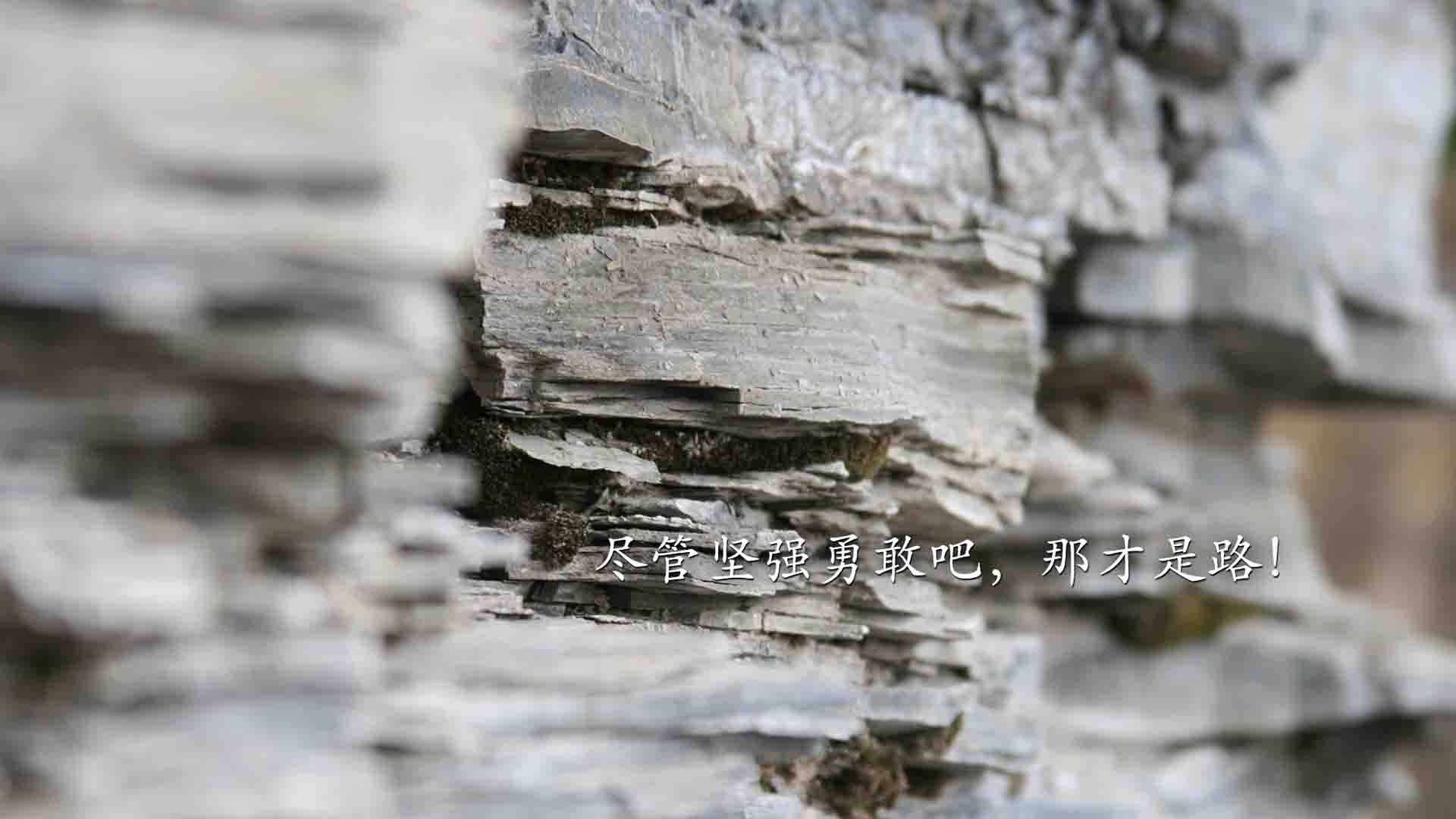 燃烧的橘色,米切尔逆天改命,尼克斯在坍塌边缘起舞
