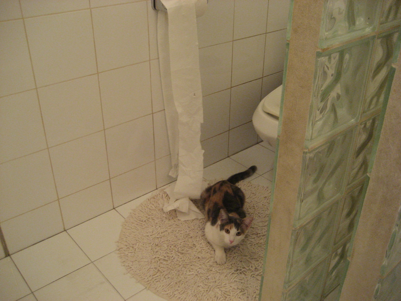 欧冠决赛之夜,马克西那记让平行宇宙分岔的射门