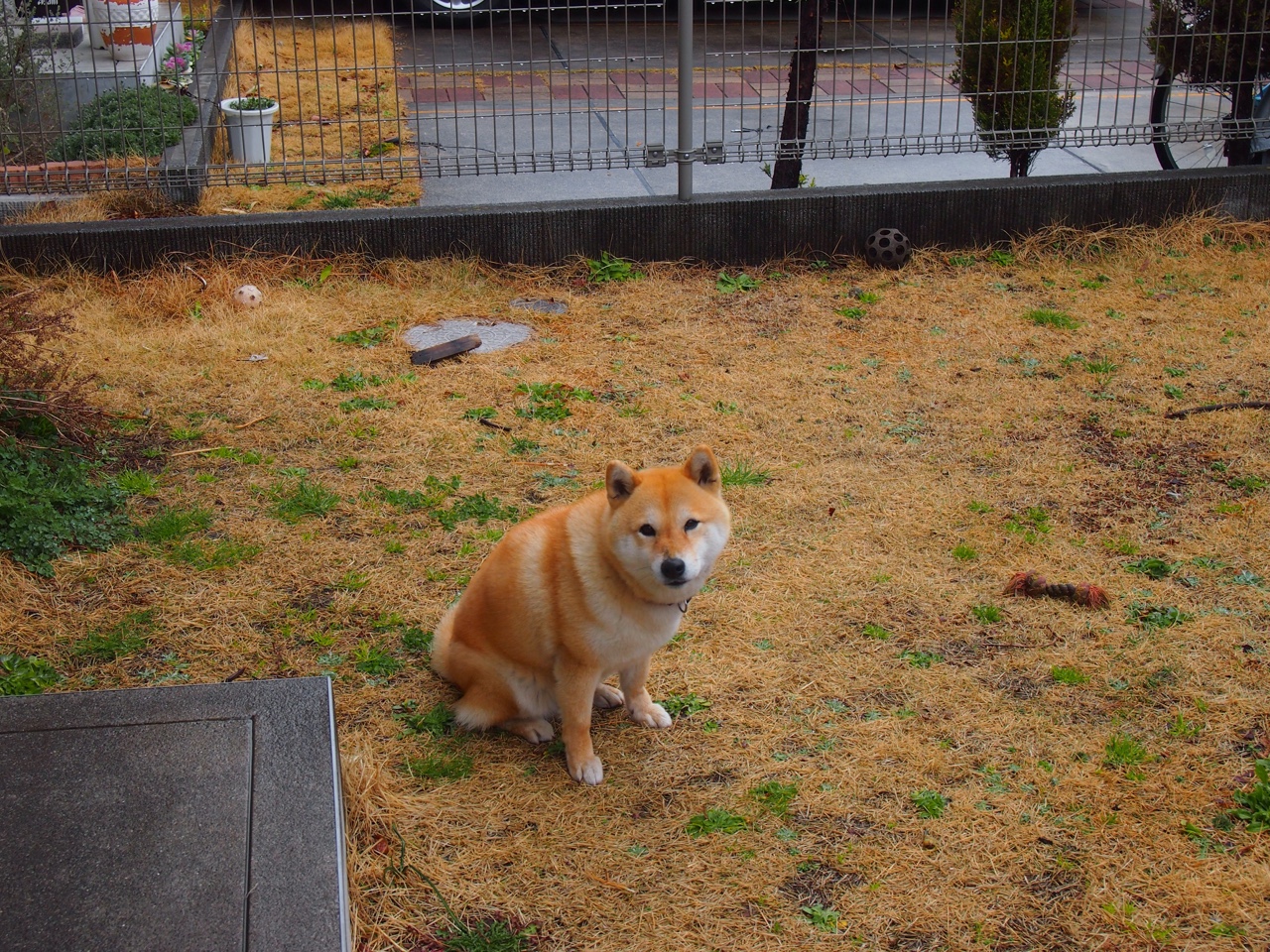 提前收兵！西亚卡姆凌晨三点点燃世界排名争夺战