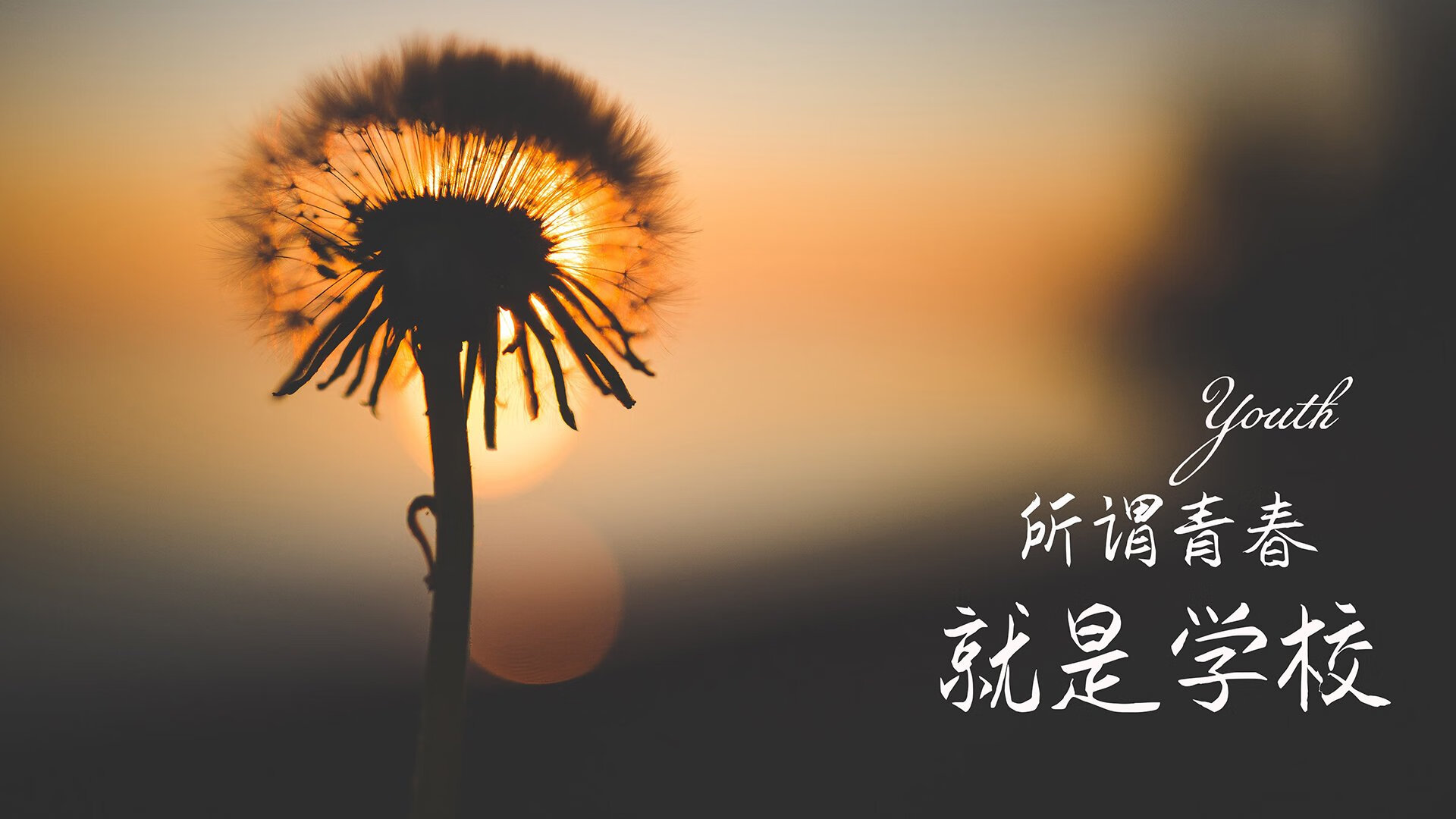 王权黄昏，当骑士欧文用一记抛投决出新国王