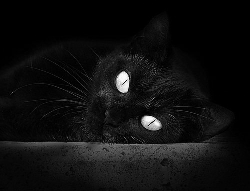 三笘薰爆发引领攻势，哥斯达黎加加时绝杀佛罗伦萨