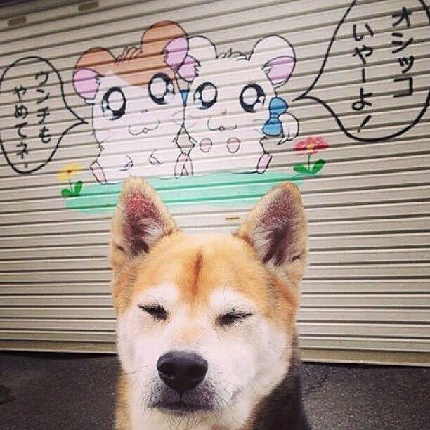 血战底特律！西亚卡姆站出成唯一巨星