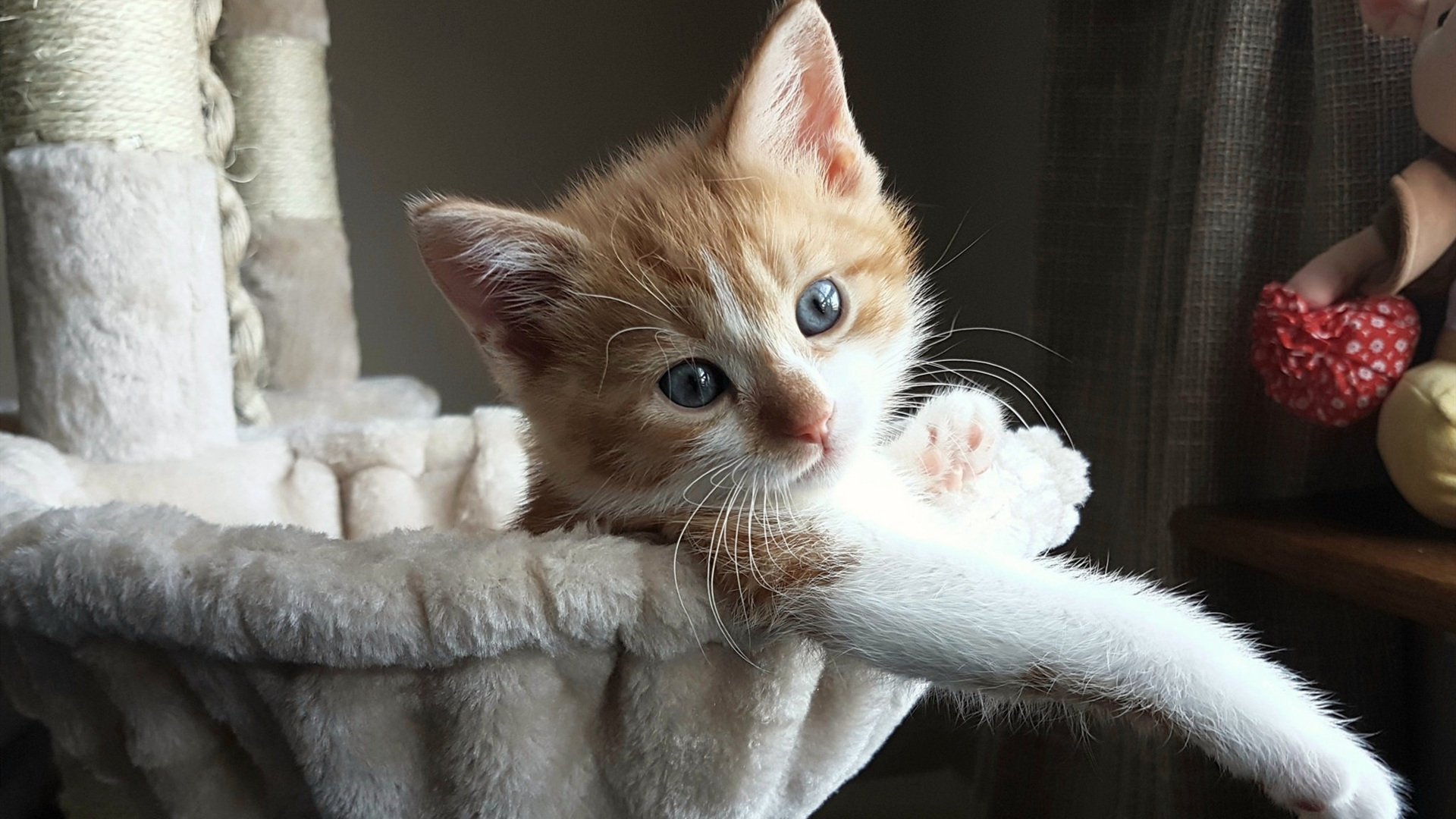 哈登独木难支，辽宁铁军浇灭森林狼！中美篮球巅峰战现唯一胜负手