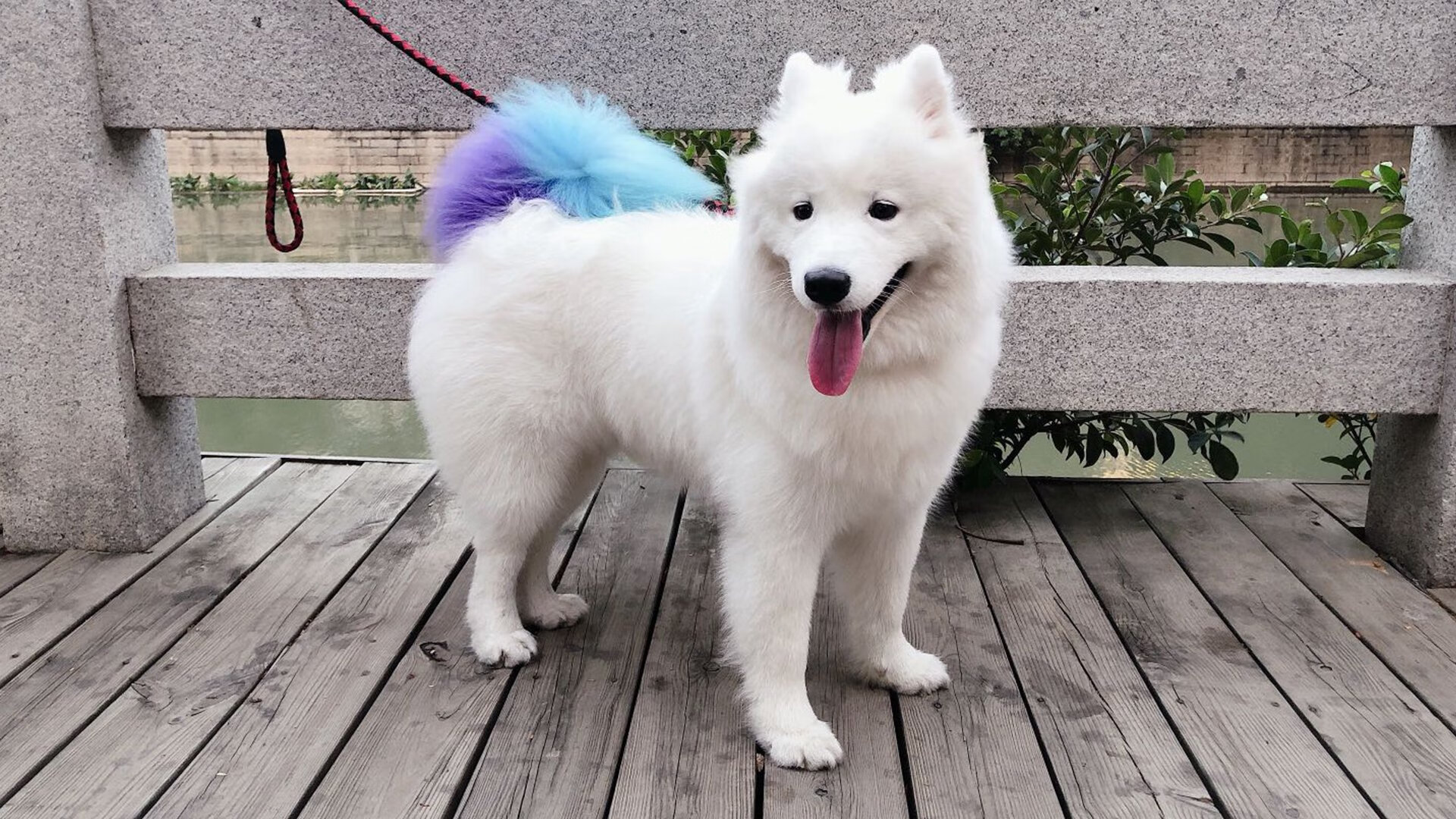 米切尔单骑救主，雄鹿生死战破山西迎晋级曙光