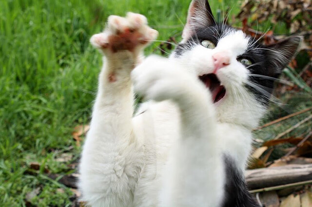 逆流与涡轮，当足球压哨绝杀撞上F1年度争冠的唯一性启示