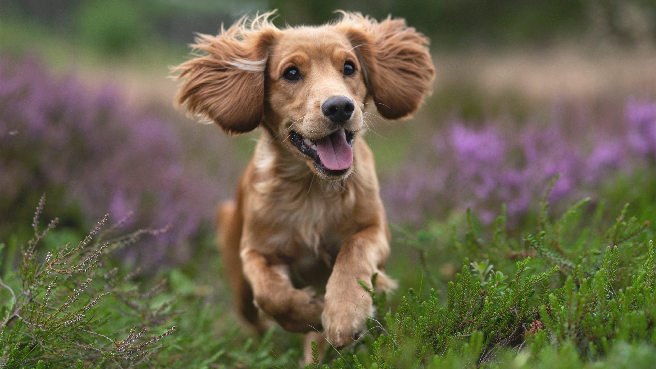 棋局对弈，浓眉利刃出鞘，开拓者铁血军团强势斩落山西