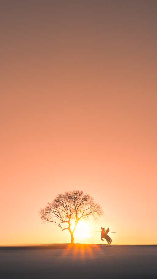 跨联盟梦幻对决，恩比德连续得分狂潮，黄蜂击溃吉林队