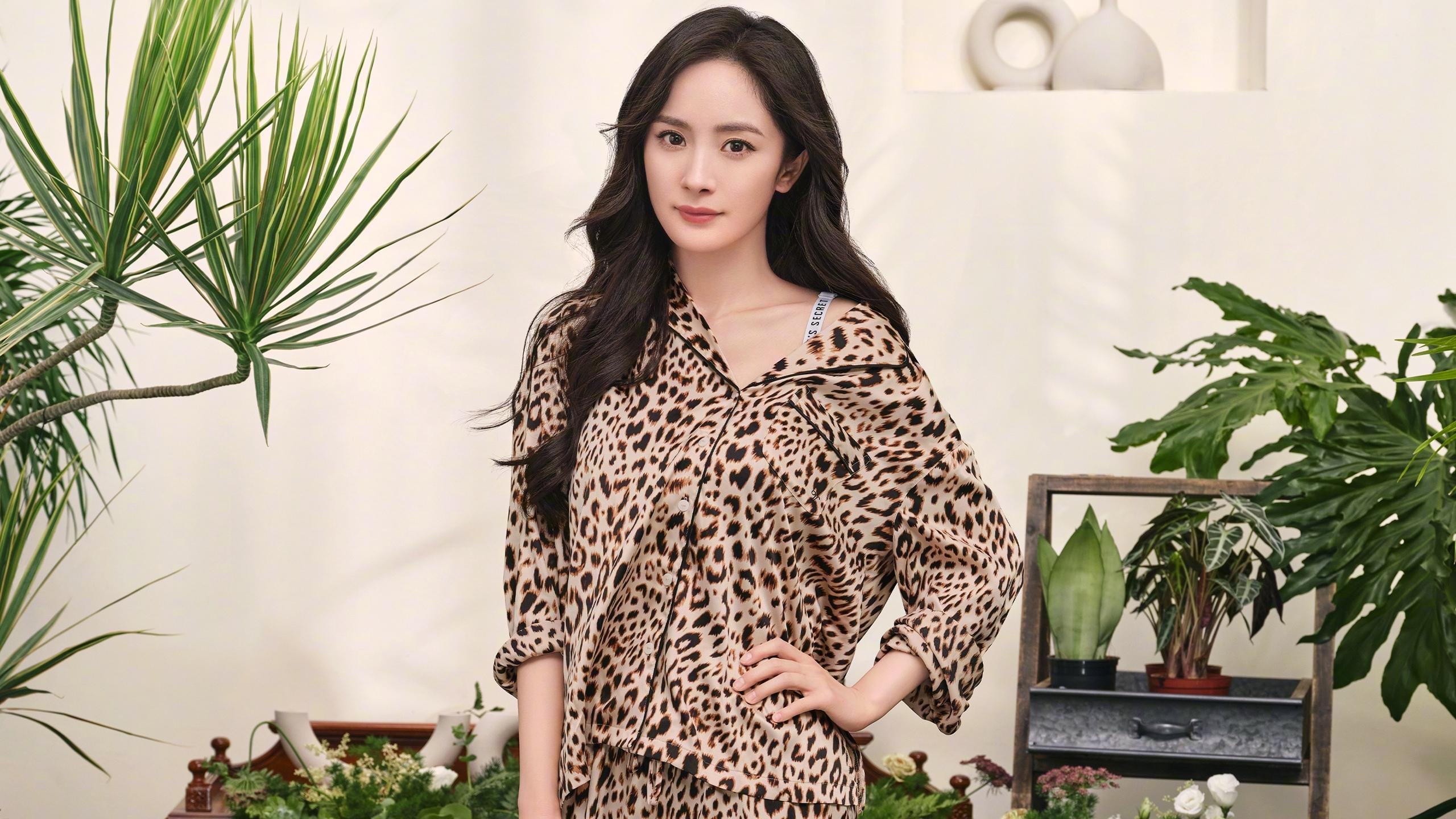沙漠风暴中的绿洲奇迹，2026世界杯，厄瓜多尔如何用碾压重写历史，巴雷拉铸就南美荣耀