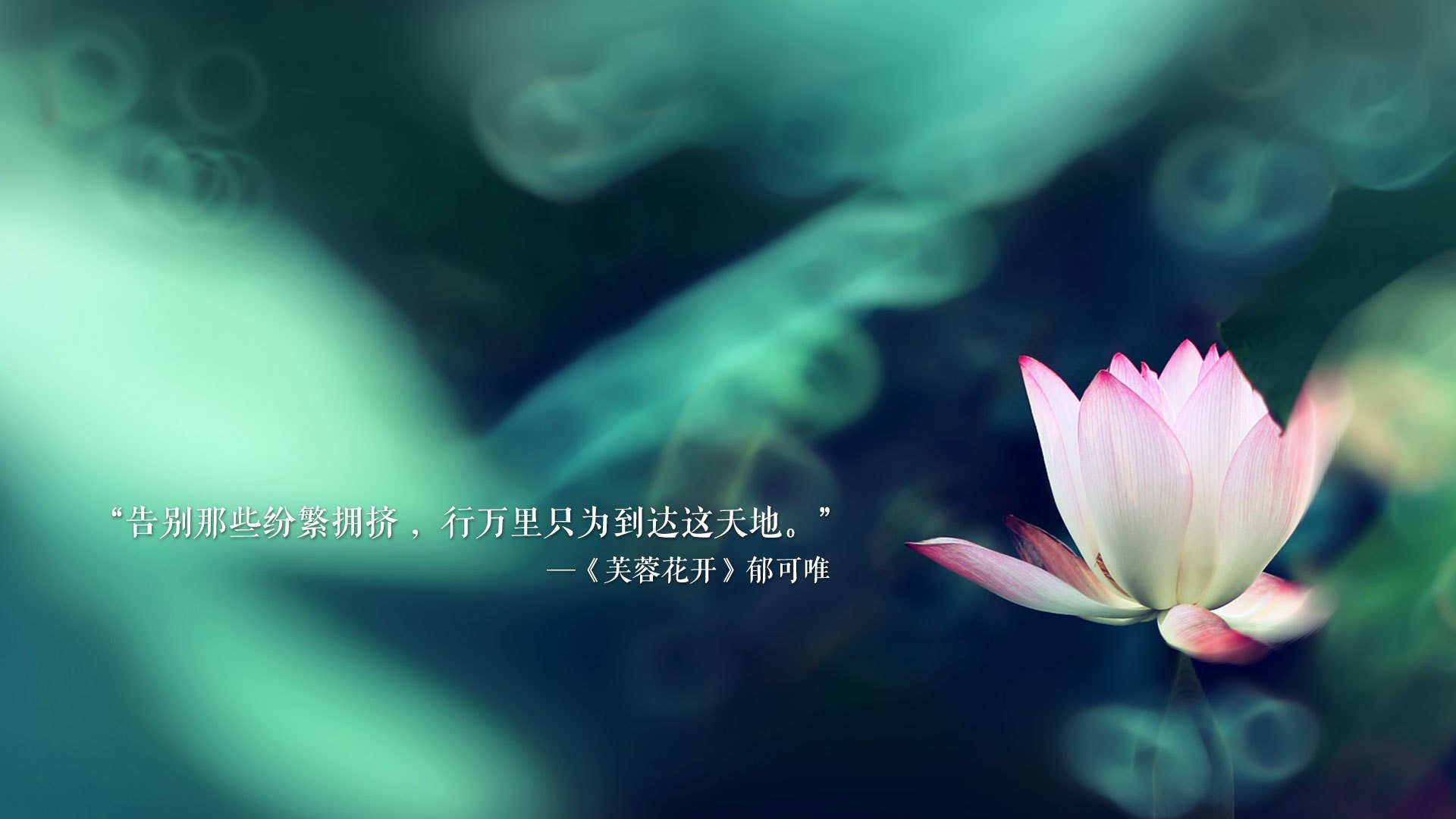 沙漠中的郁金香，2026世界杯，范戴克的忠诚与乌兹别克斯坦的复仇终局