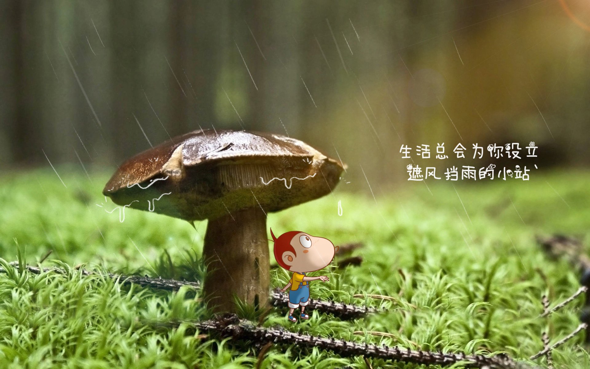 沙漠之狐与钟表匠的终极博弈，2026世界杯，奥斯梅恩用速度撕裂瑞士防线