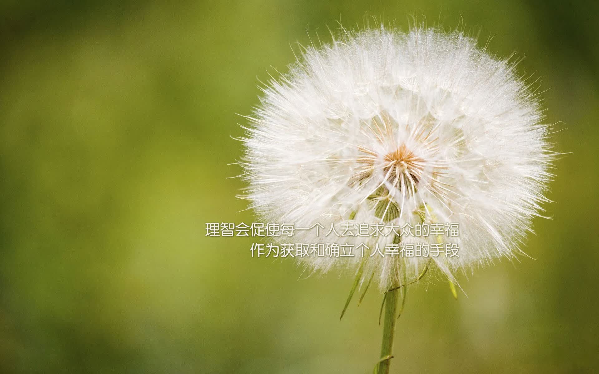逆转之魂，2026世界杯焦点战，凯恩用节奏掌控写下英格兰的绝地反击