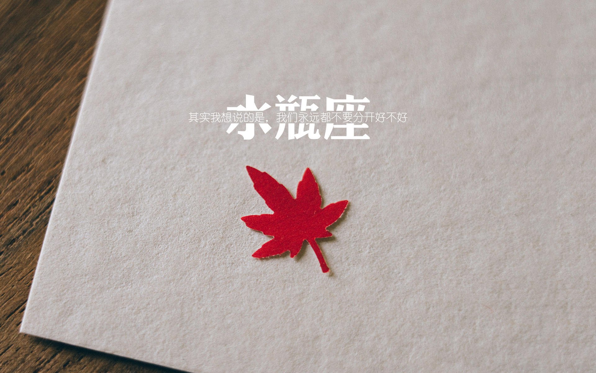 南美铁骑踏破东欧防线,京多安调度下的厄瓜多尔,如何在2026世界杯D组关键战完成对罗马尼亚的战术压制?