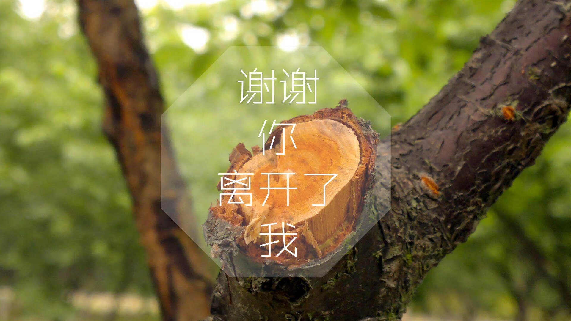冰与火的对决，捷克钢铁战车碾压丹麦童话，萨卡独自闪耀成世界杯唯一记忆